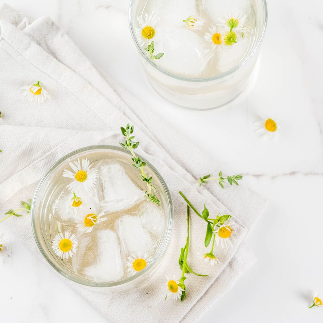 Chamomile flowers sprinkled over a glass of water with ice